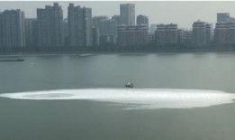 钱塘江最新爆料,揭秘江水涌动背后的神秘力量